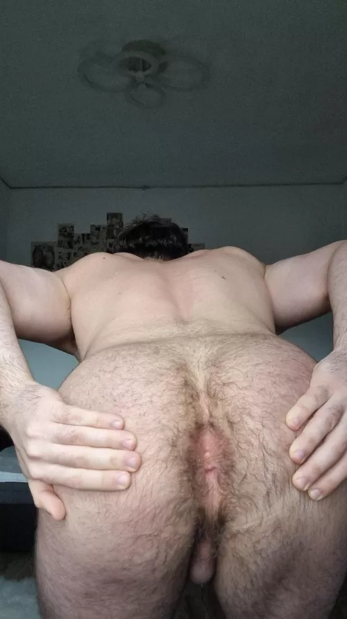 Just got refused because my hole is hairy 