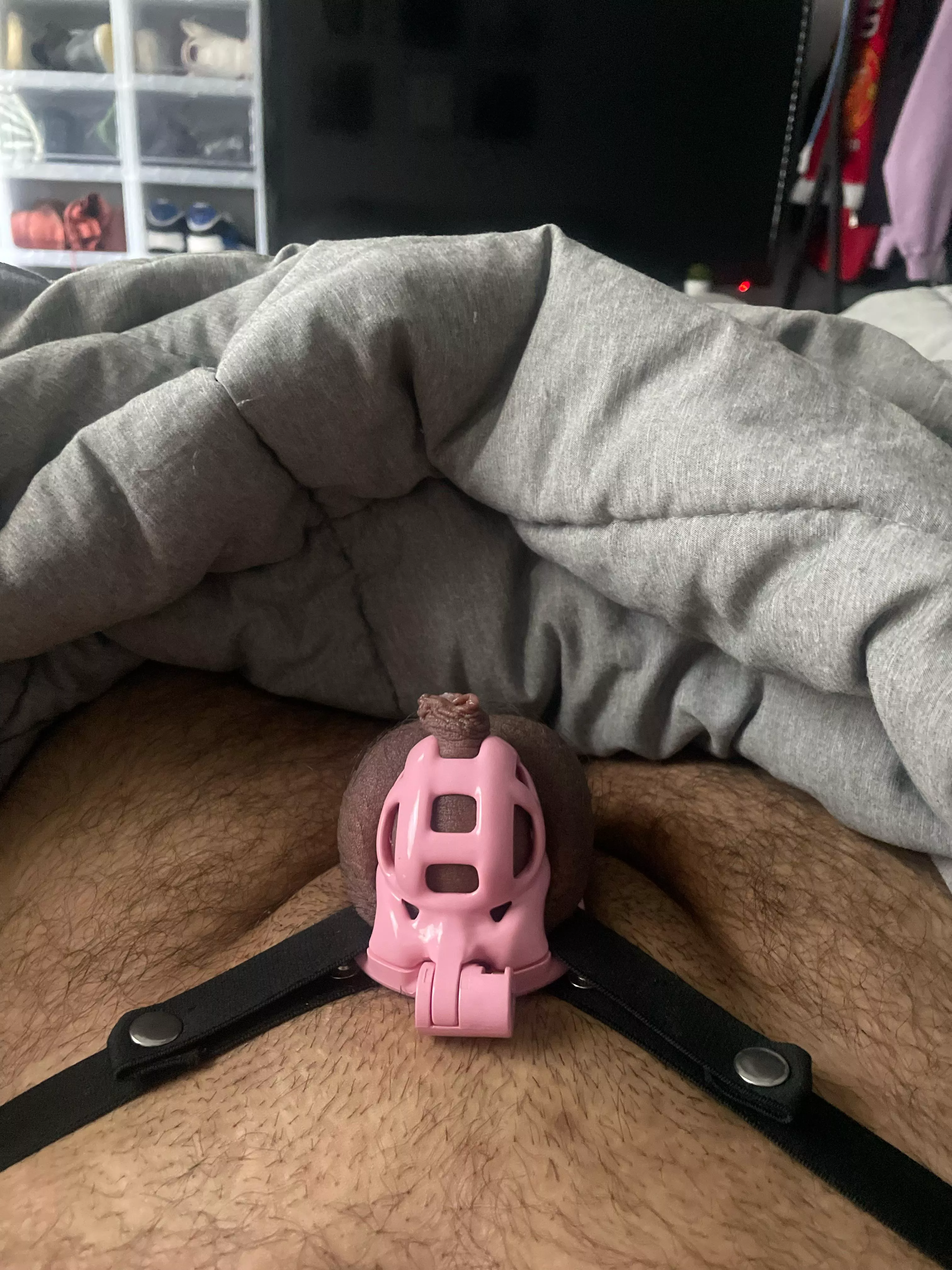 My GF has me locked up longest time was 10 days. What sentence is long enough to test a FLR