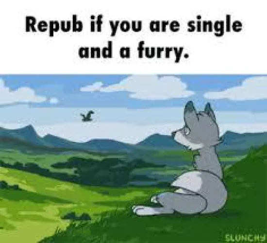 Shout out to all my fellow single furs.