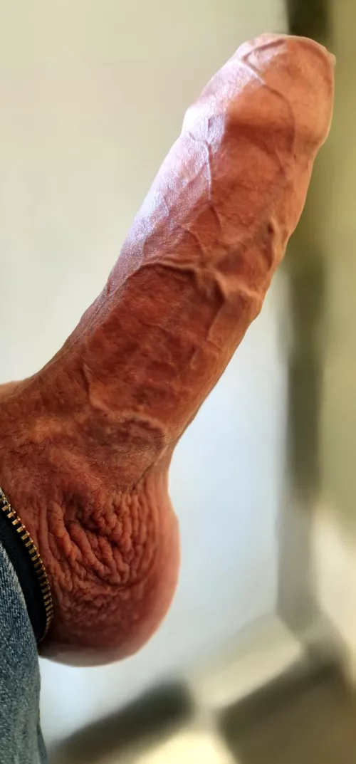 Solid and veiny as fuck! 