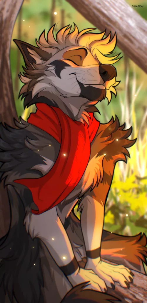 The Sun's Warmth [SkiaSkai]