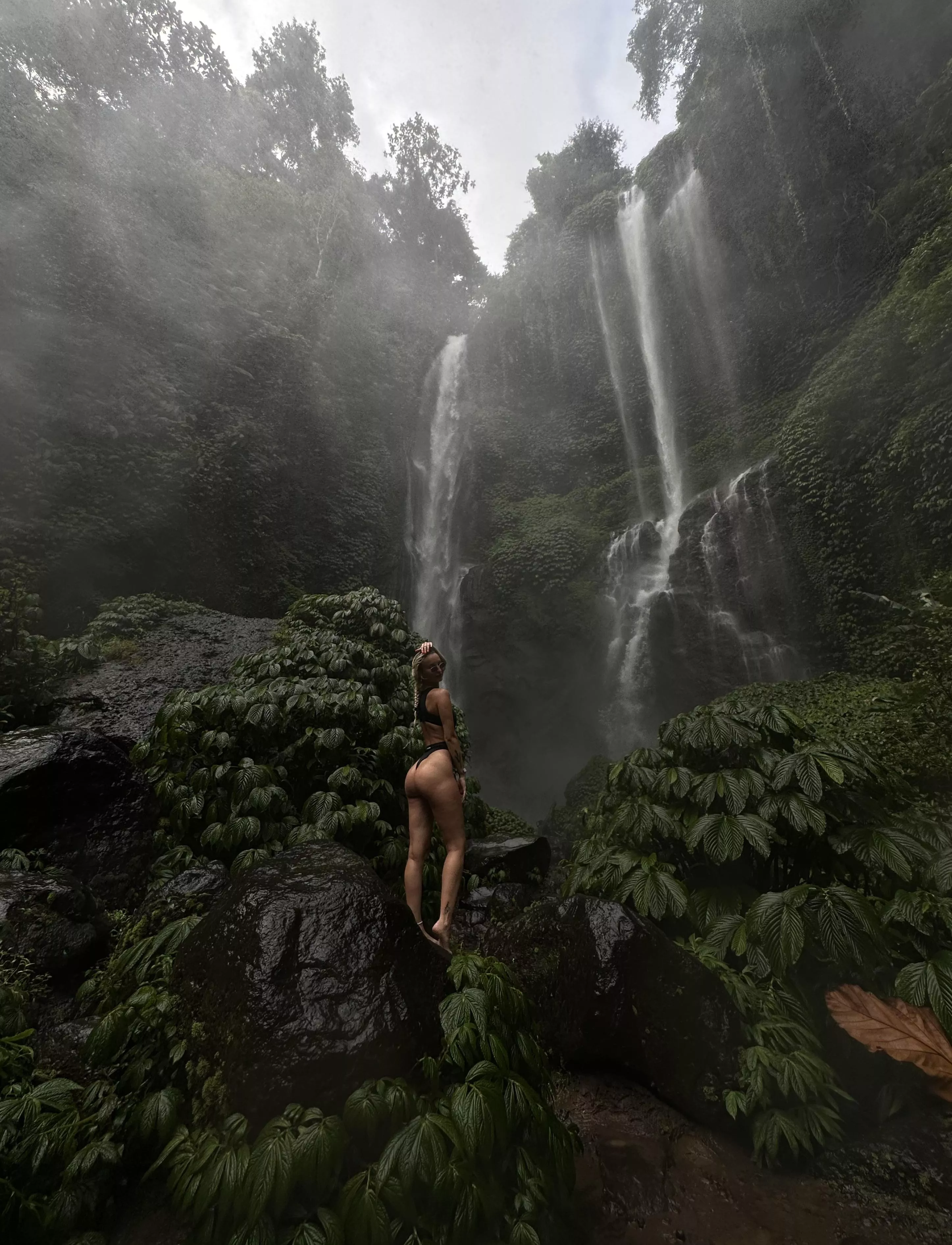 The two of us will be in the tropical forest