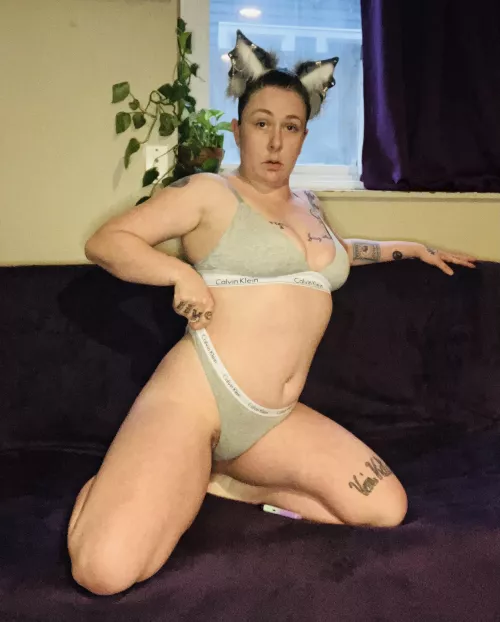 What do you think of my new ears 🐱 (self) 