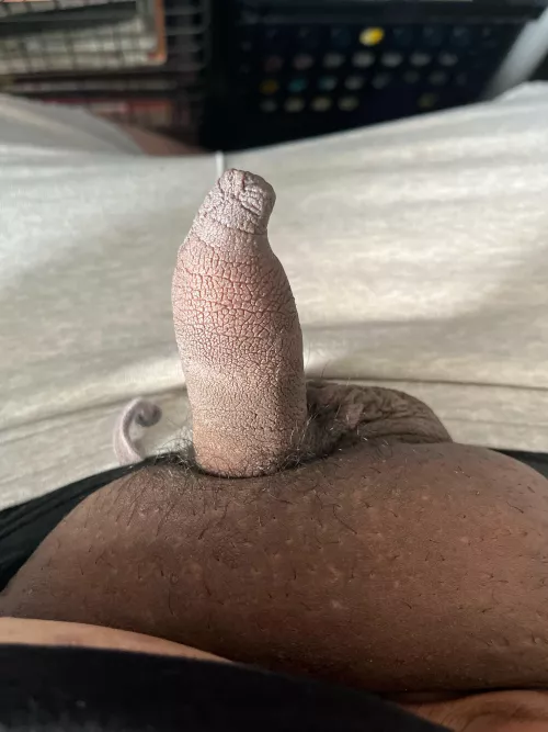 who’s gona. come suck me up