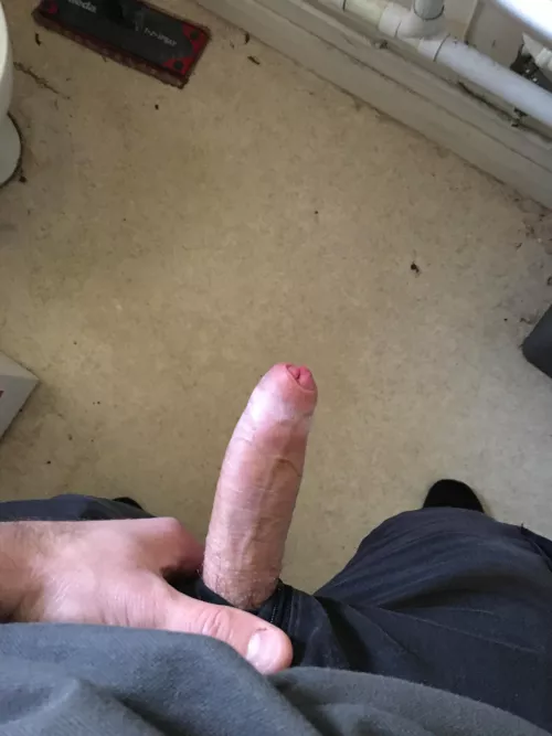 Work toilets having some fun