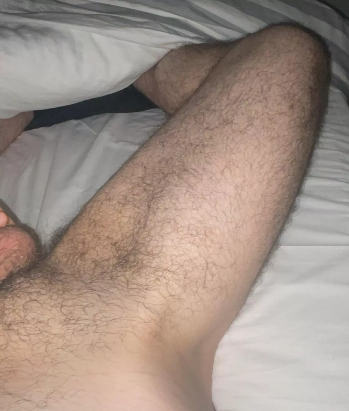 25 m , straight from Spain looking for bros to have some fun, add me: pablolotan