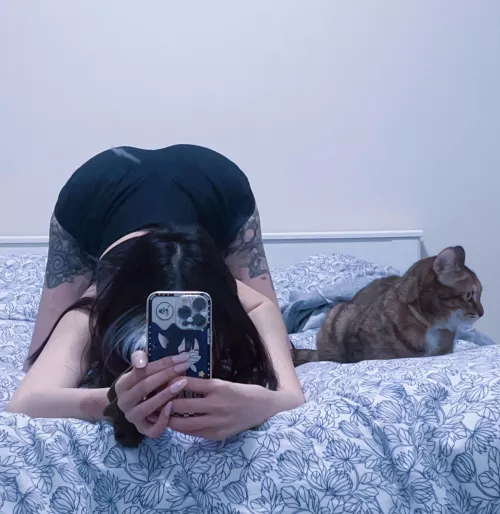 Any guy that wanna learn more about asian girls?