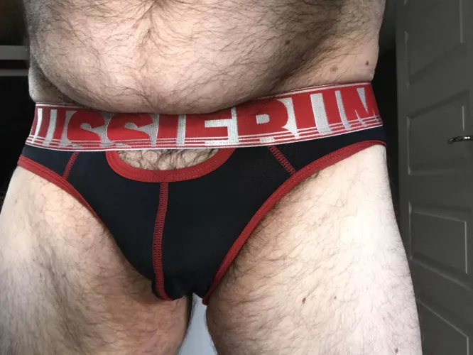 Bear looking for others for briefs fun! U.K. based