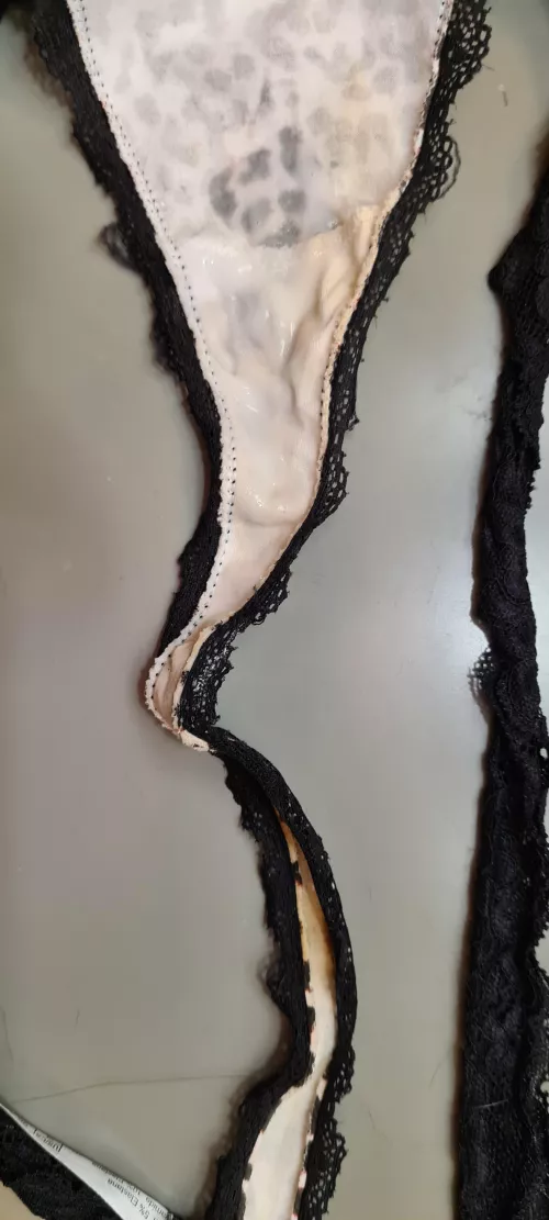 Busy day. Skids and grool.