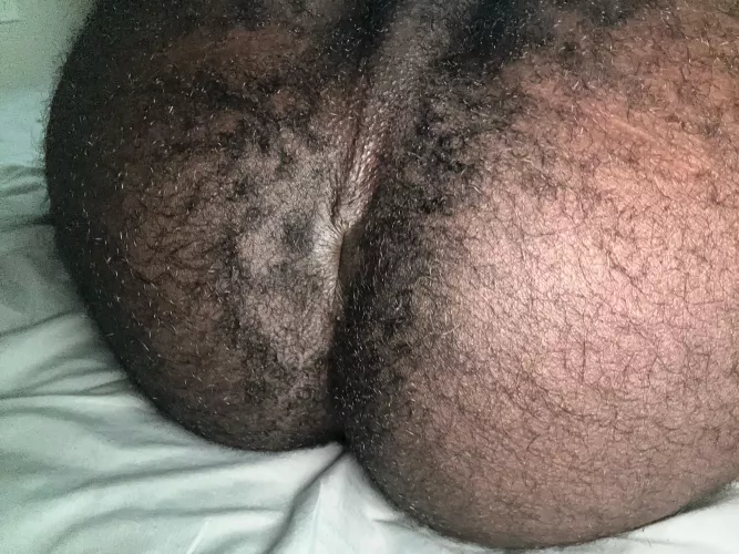 Can I sit this sweet musky hole on your nose bro?