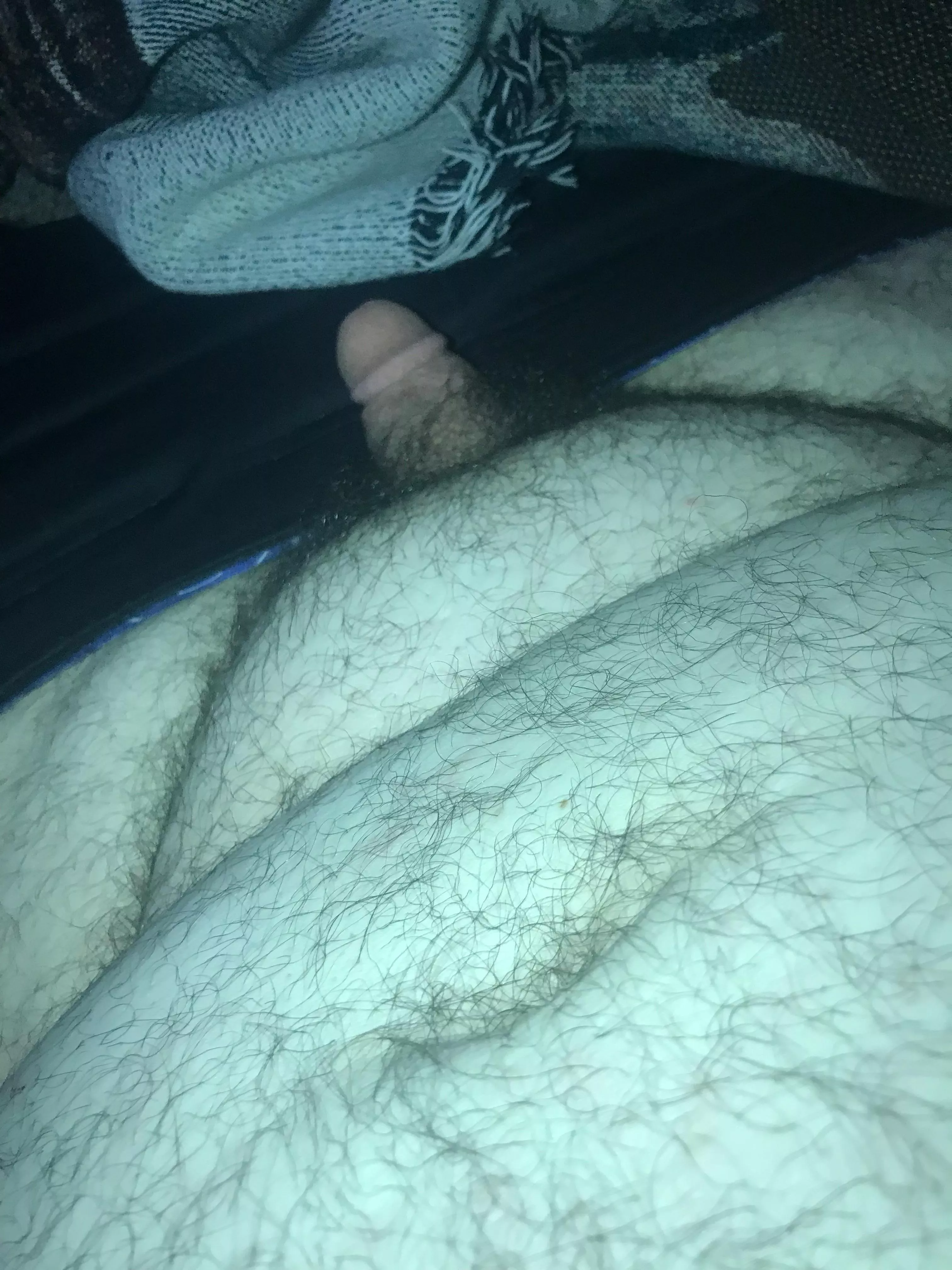 Cub would like to be Bred!