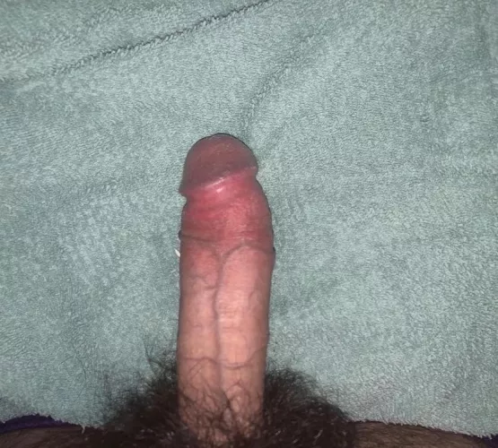 Do y’all like mine hairy cock.