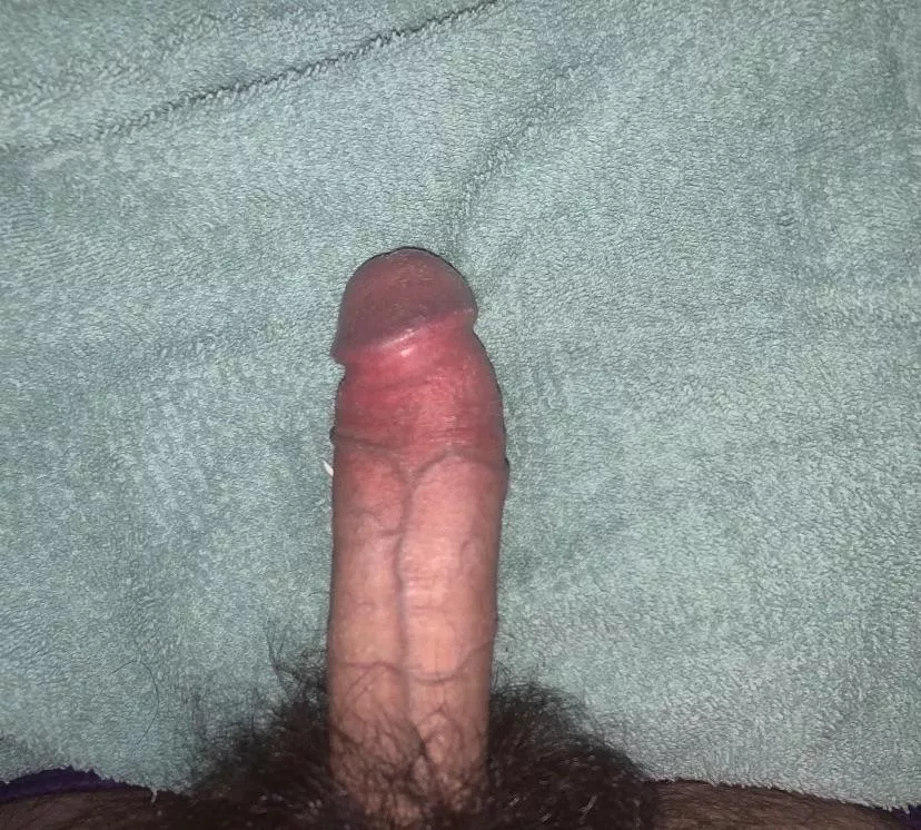 Do y’all like mine hairy cock.