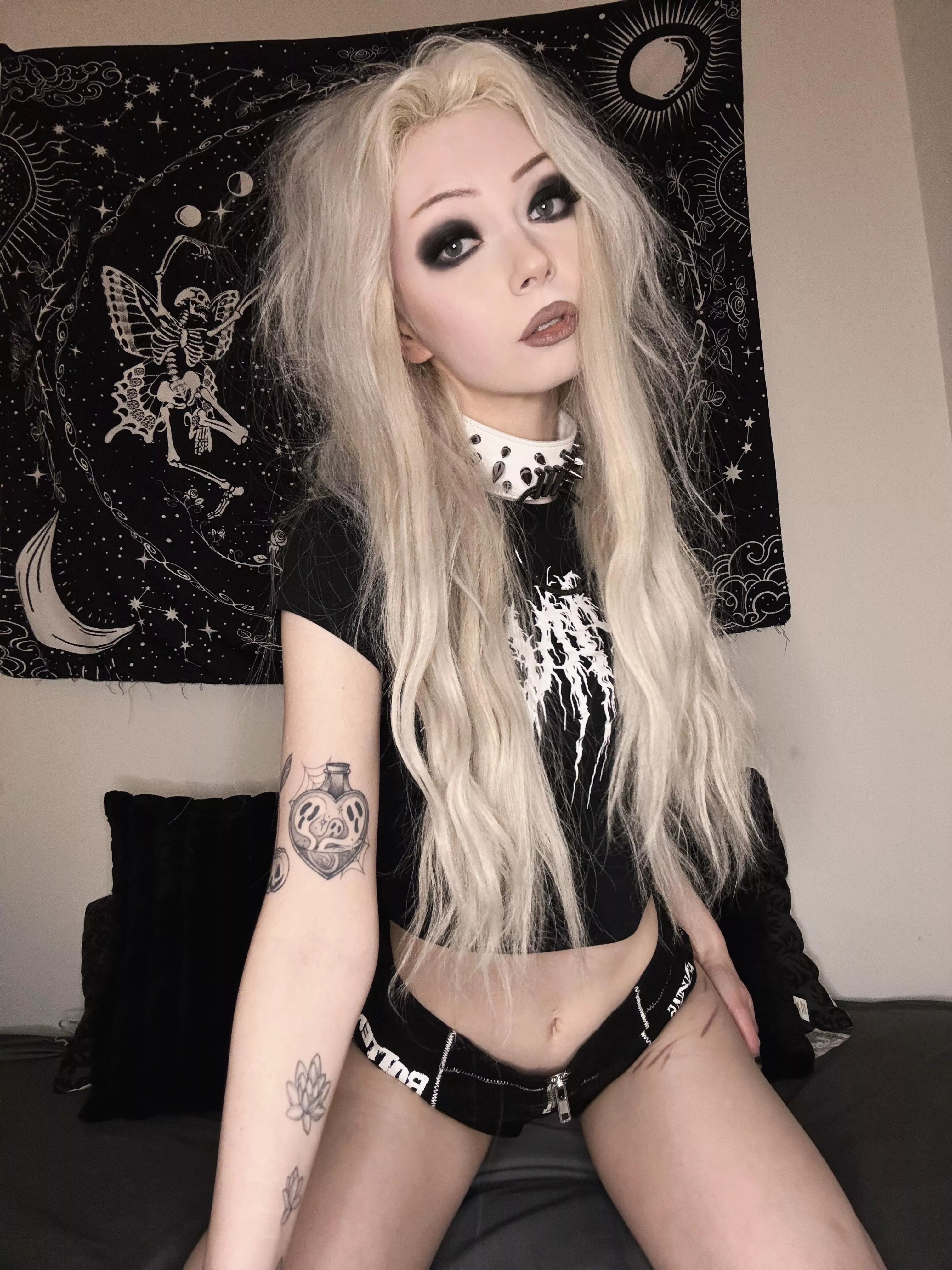 don’t you want to leash me