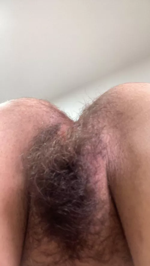 Eat my [h]airy holes