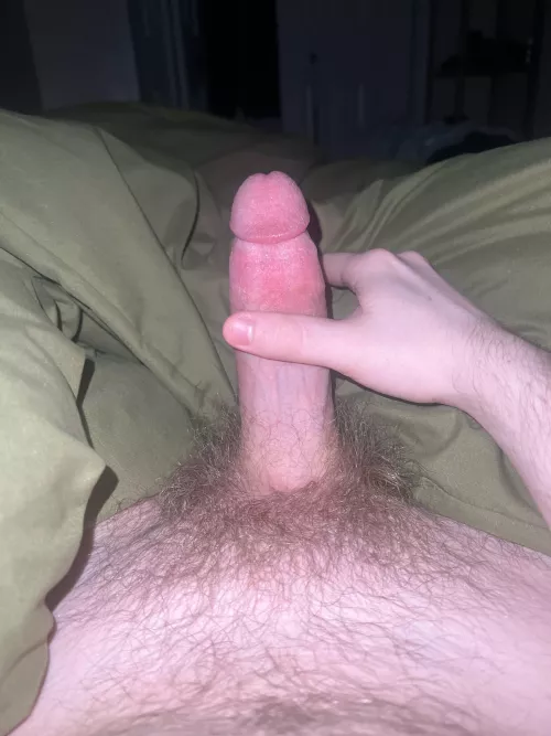 Fresh 18? What we think