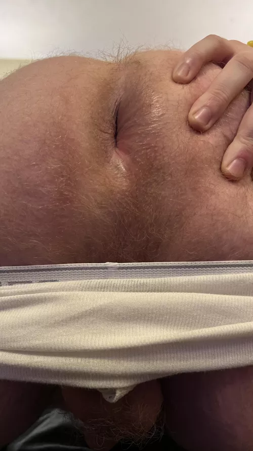 I sometimes forget just how hairy my ass is it's hard to see but it's on full display here