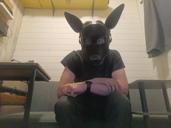 It came today what do you think?