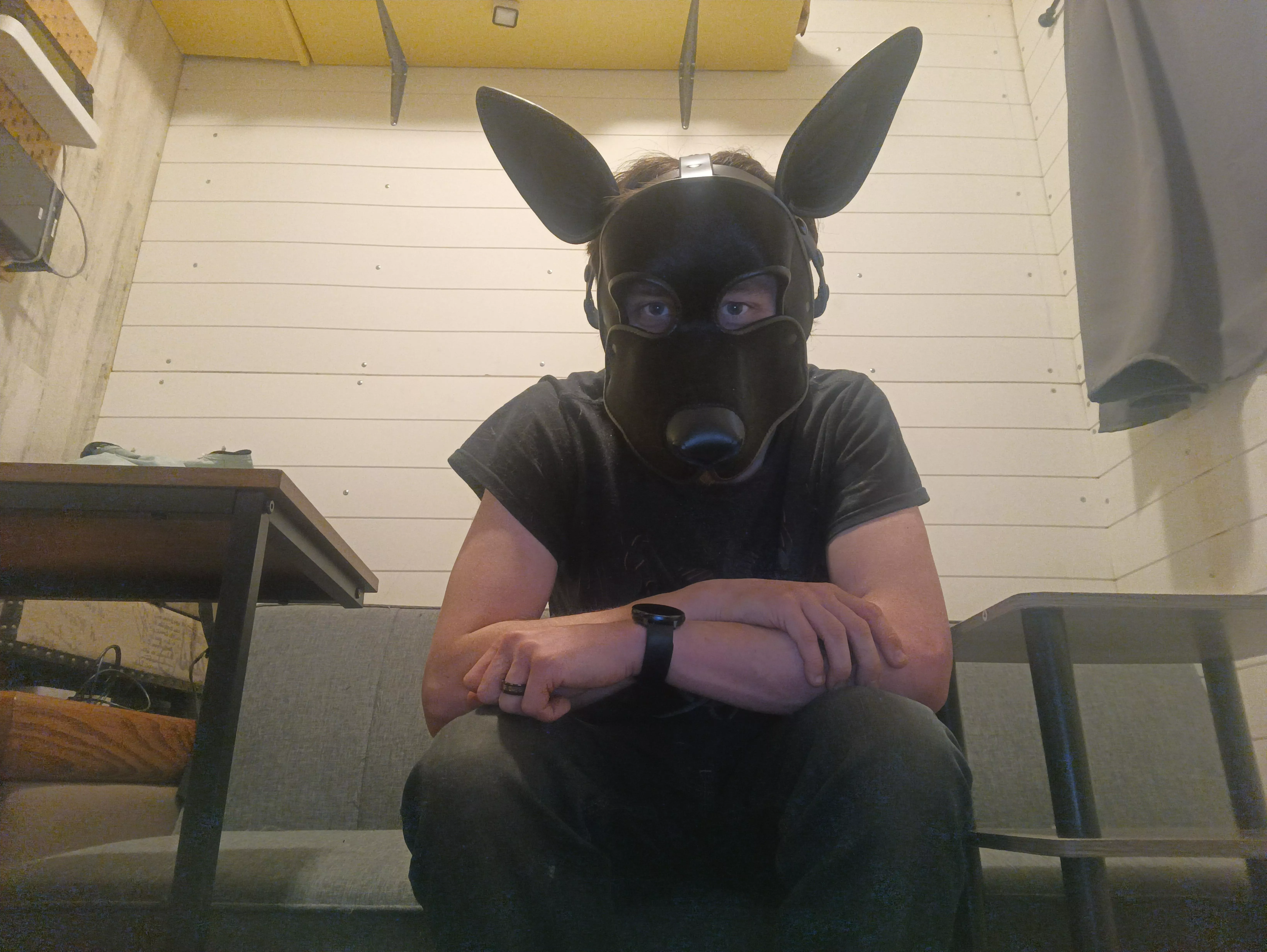 It came today what do you think?