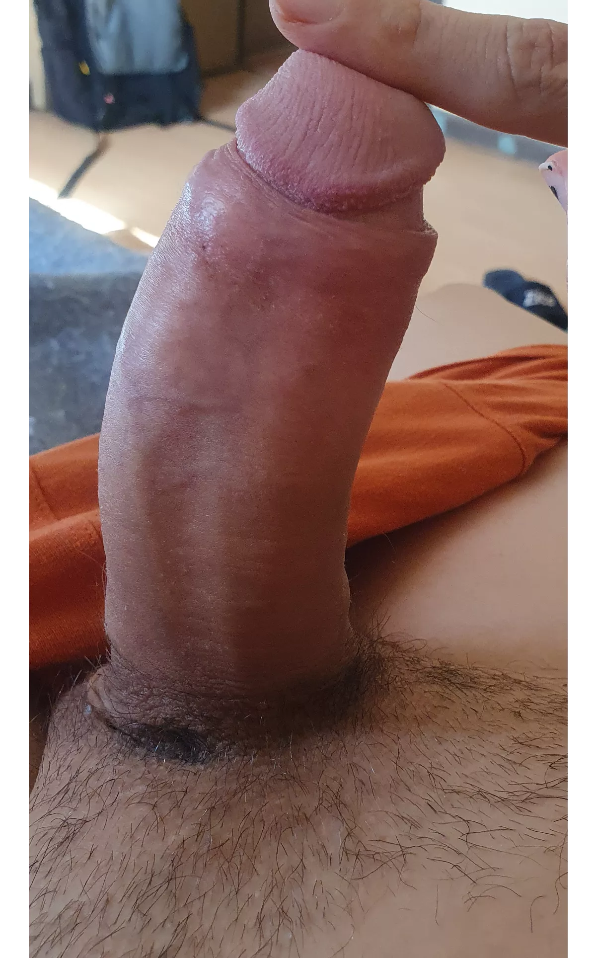 Last bottom got scared from all this girth