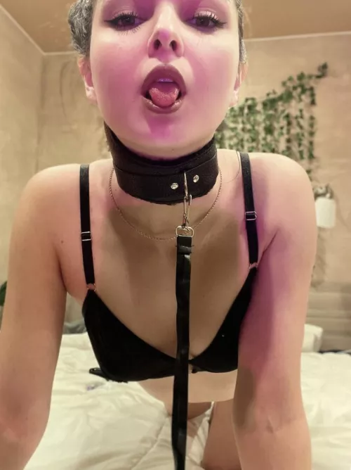 Leash me up and take me where you please [F]