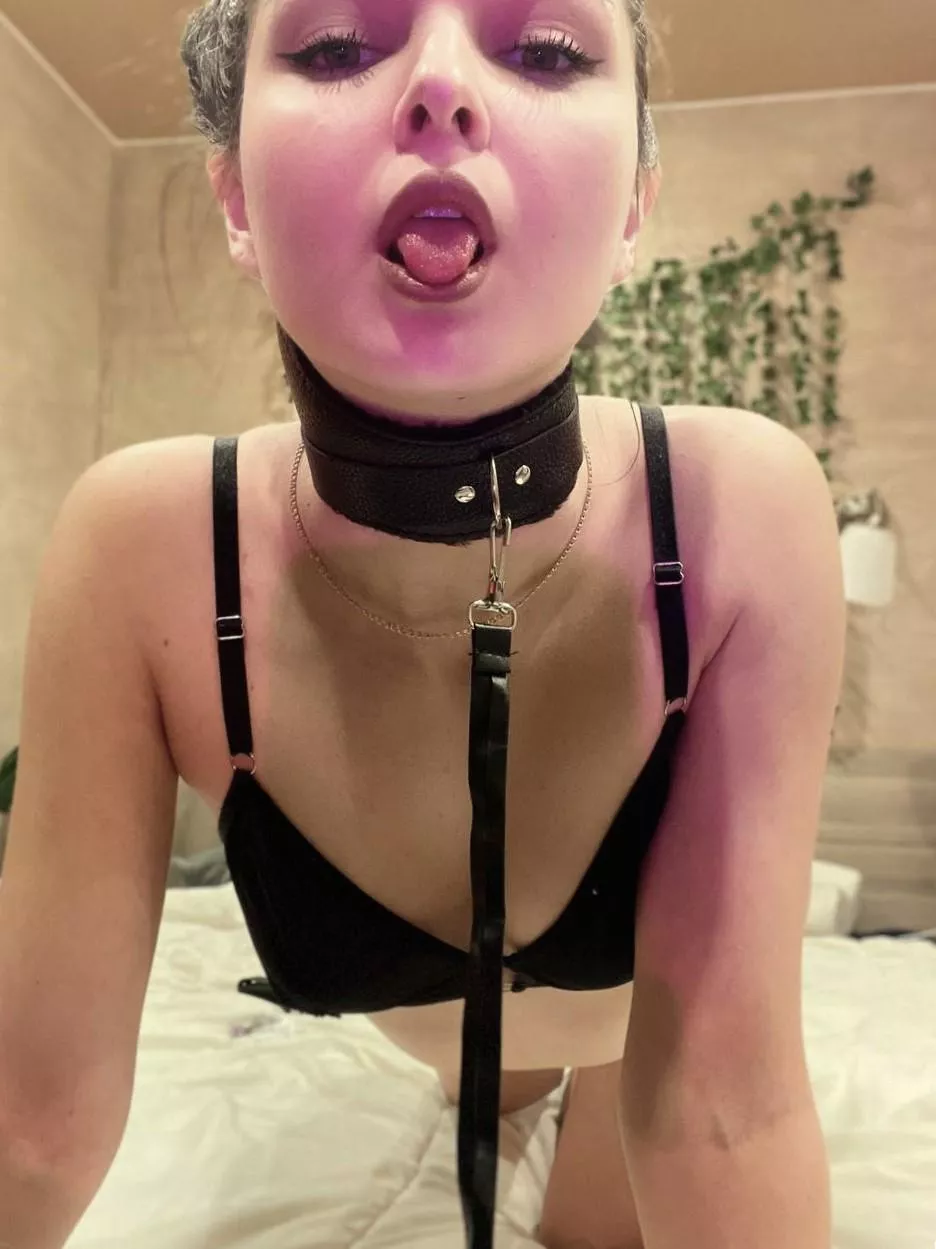 Leash me up and take me where you please [F]