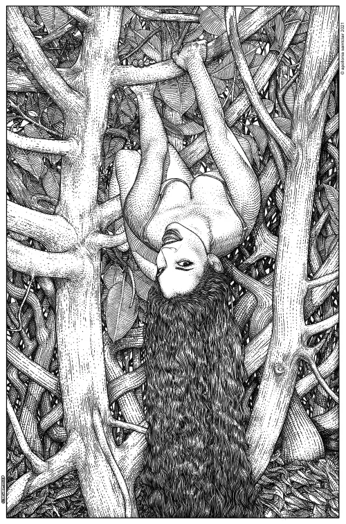 Les arborescences exquises (The Norwood ladder) by Apollonia Saintclair