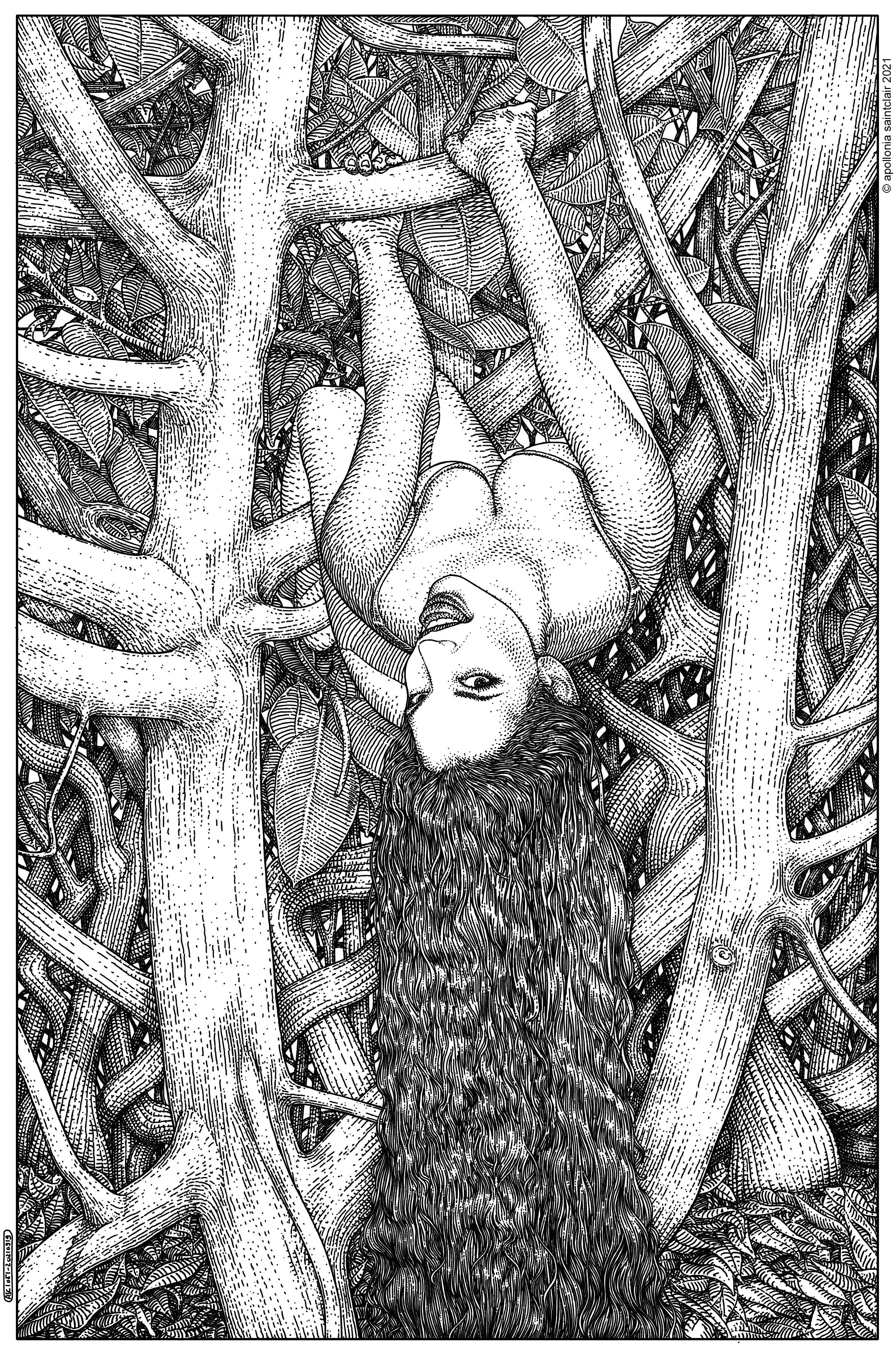 Les arborescences exquises (The Norwood ladder) by Apollonia Saintclair