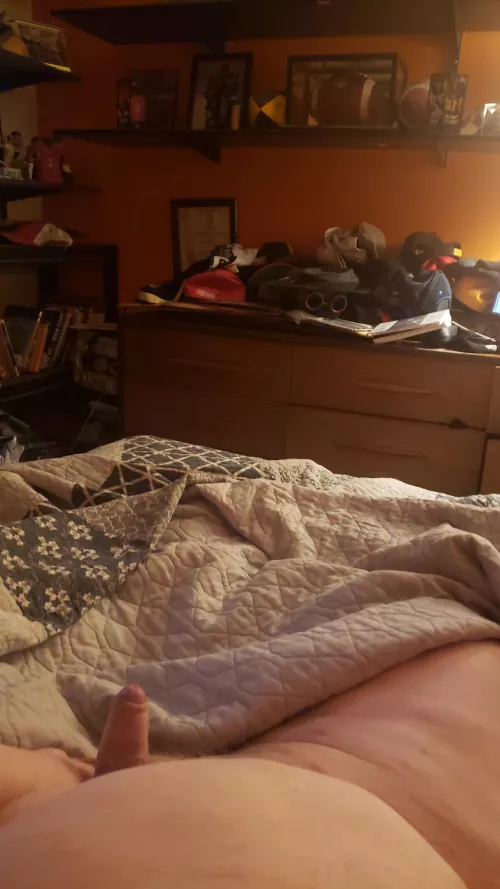 Morning wood who wants it