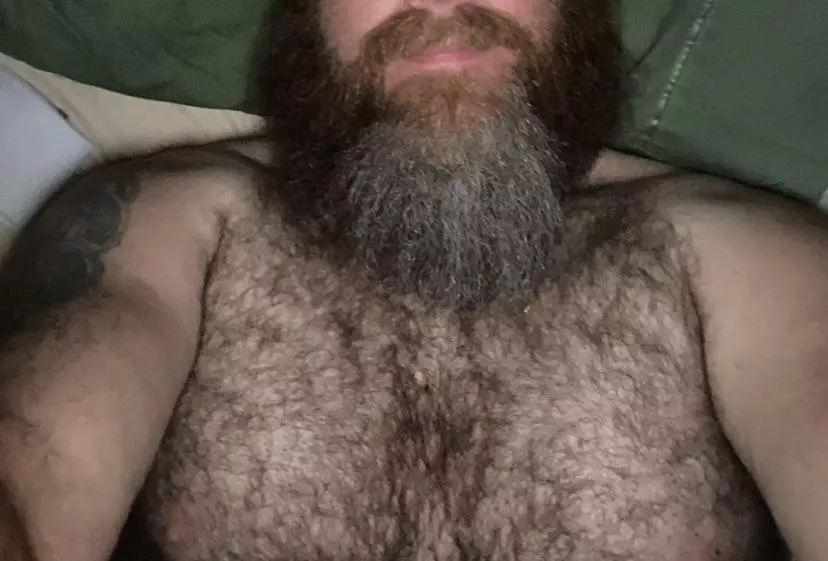 My Modest Offering….