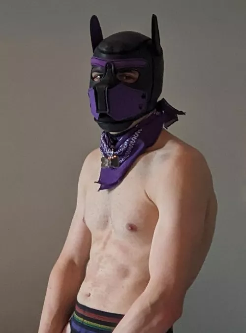 Old account got deleted, Pup saying hello again 👋🐶