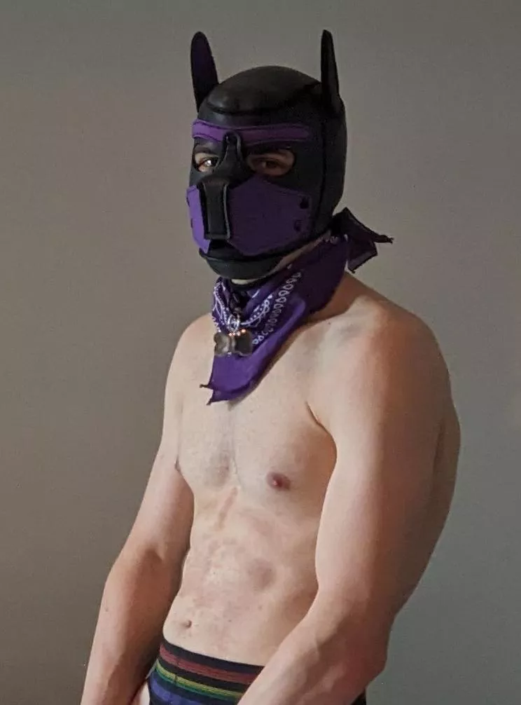 Old account got deleted, Pup saying hello again 👋🐶