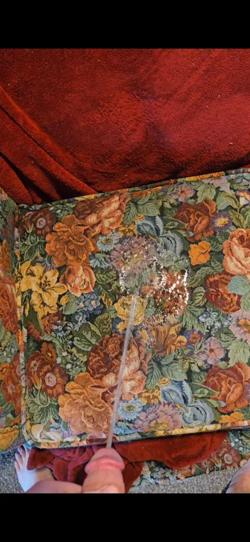 The 2nd time I pissed on the couch