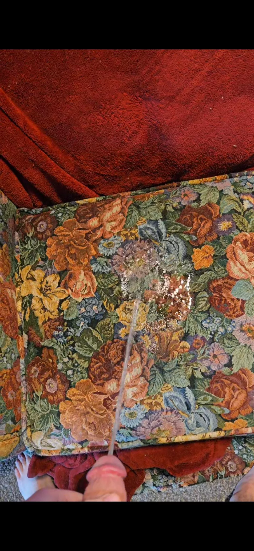 The 2nd time I pissed on the couch