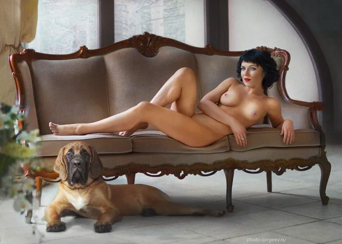 The fox and the hound