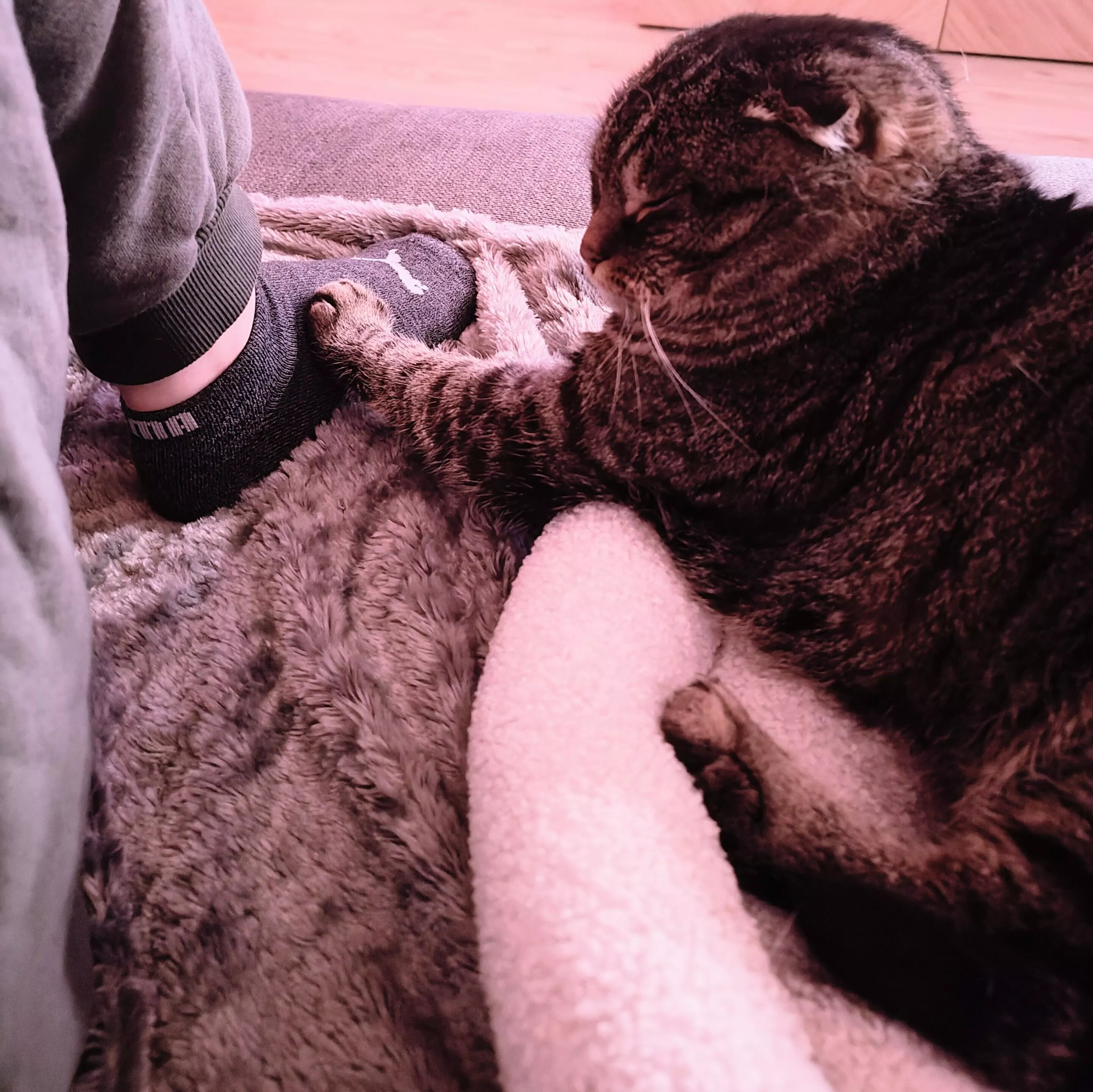 This could be you, praying to my foot 🎀 