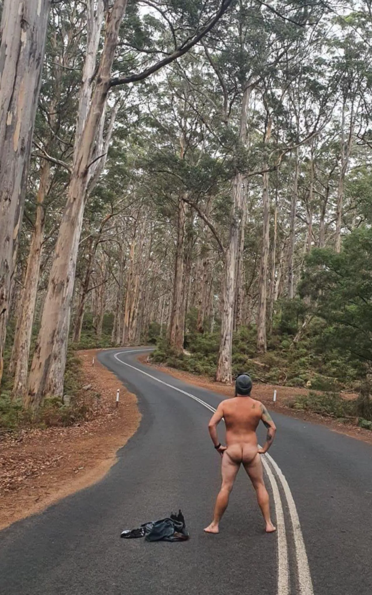 Time to get lost 🌳