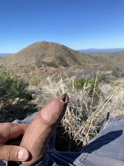 Took this at work today!