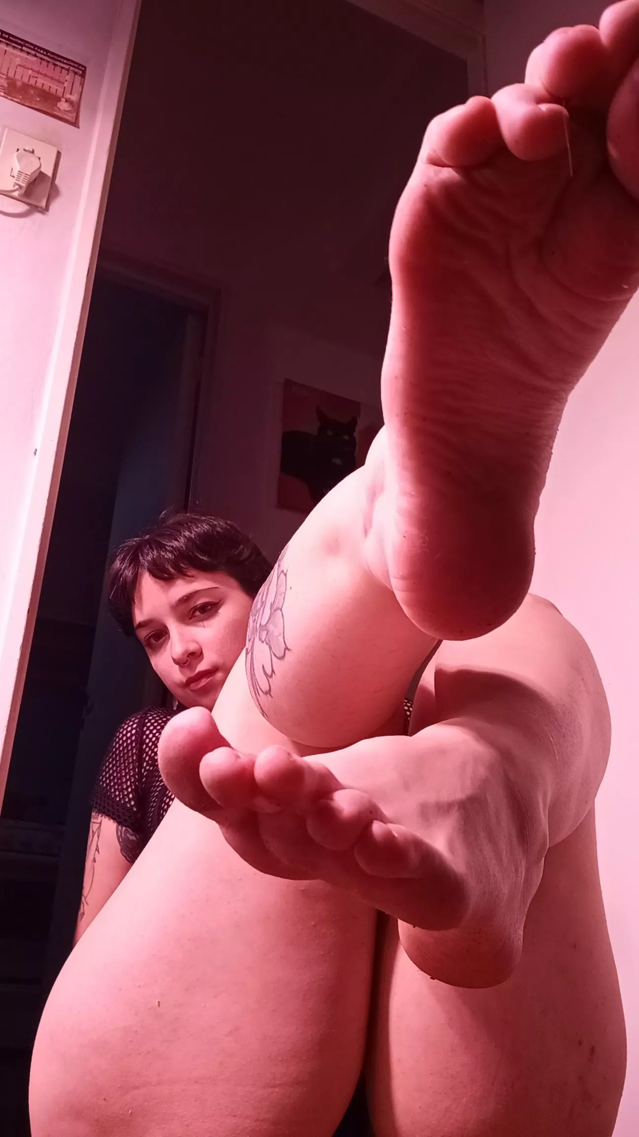 Where do you want them? Oc 