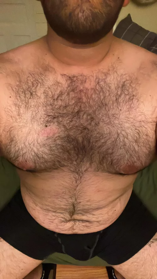 Who wants a bear hug?🧸