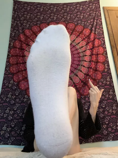 Worship it loser boi [Tf]