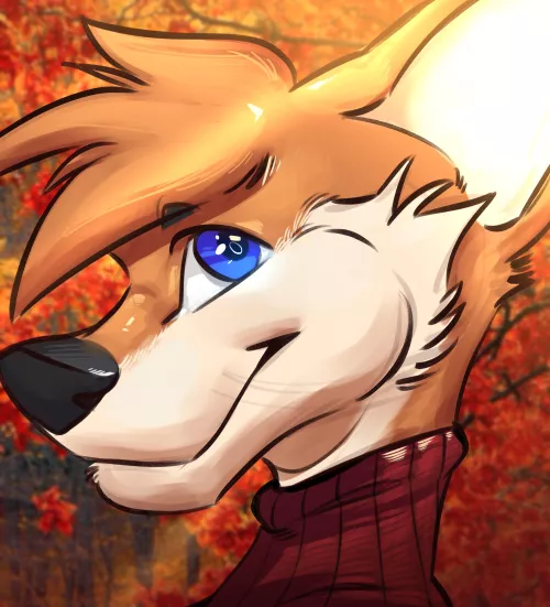 $55 Fullbodies (bogo)