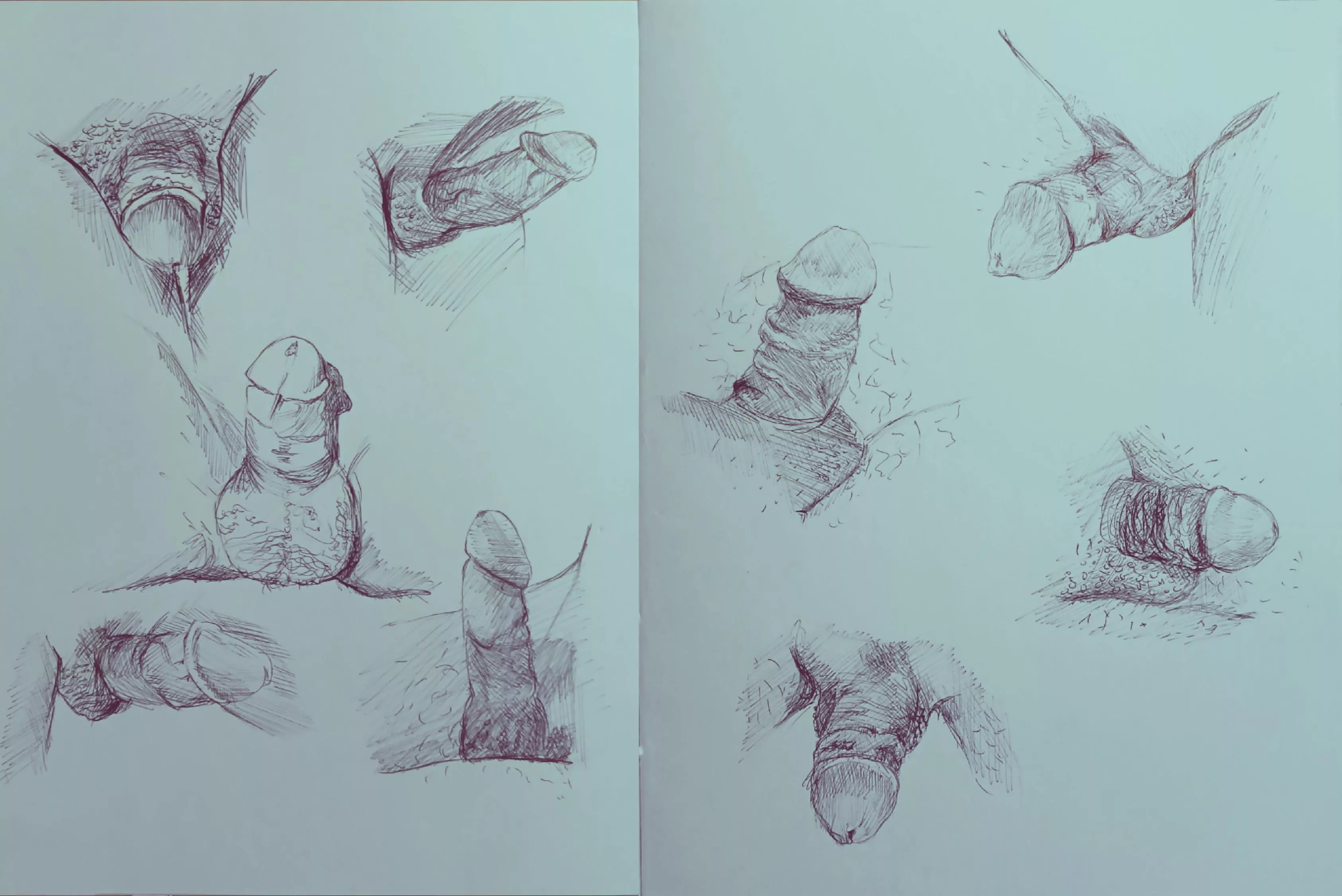 9 cocks. Pen on paper. By me. 