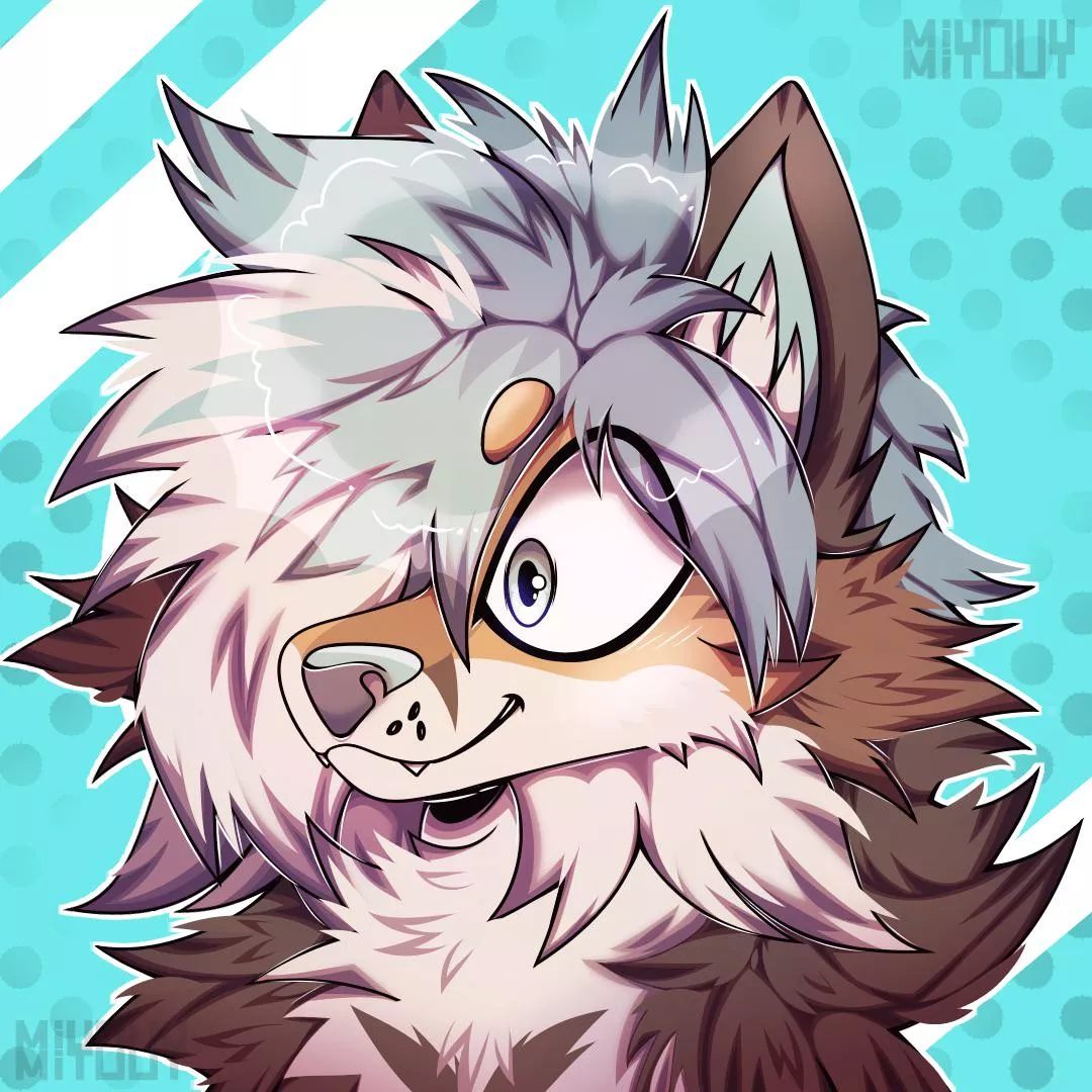 COMMS I DID !