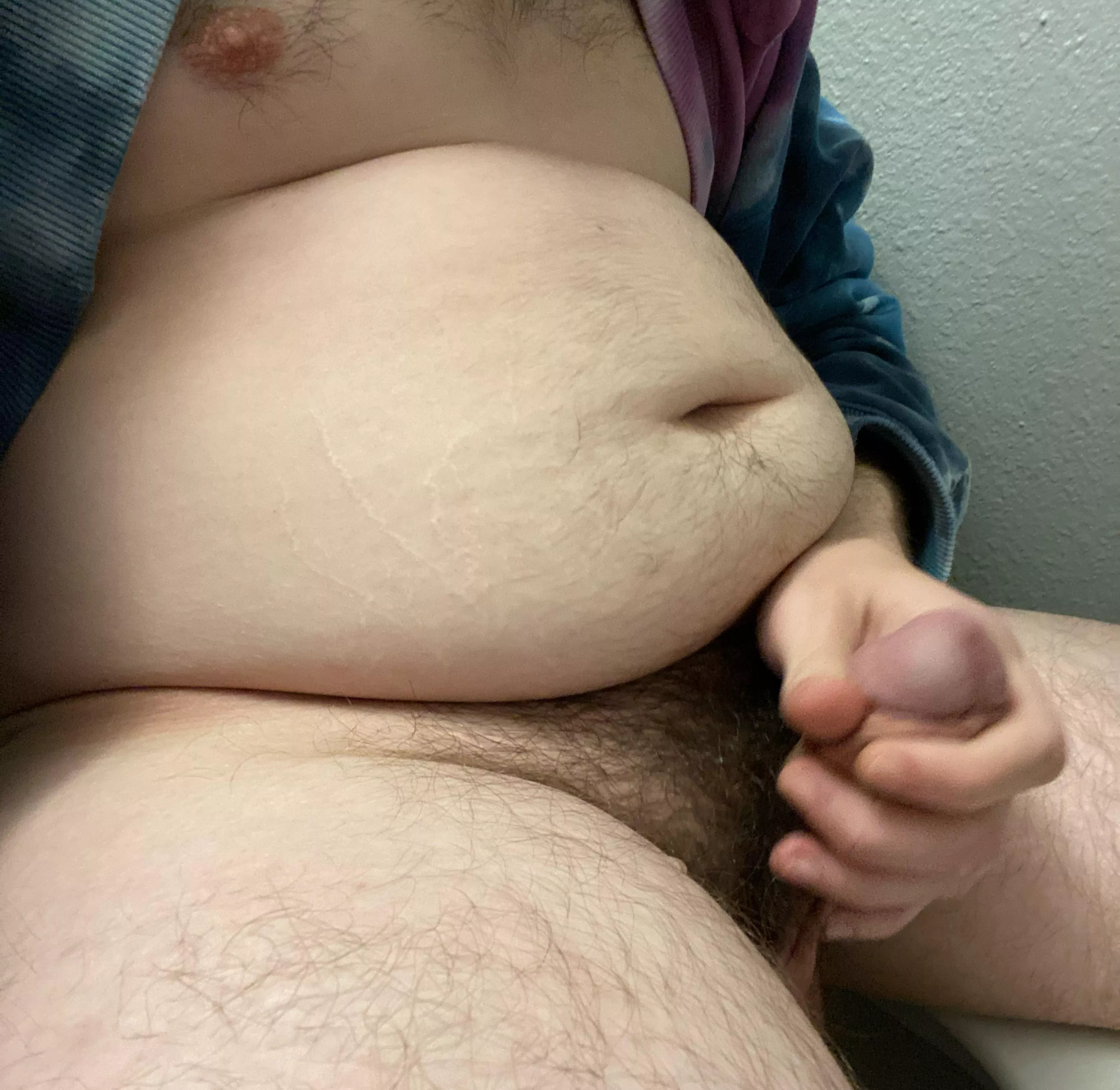 Fatass pig
