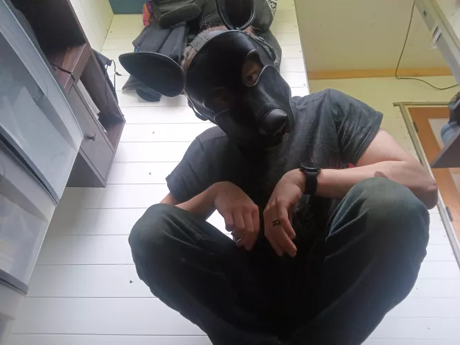 Good morning 🐺 how you be?