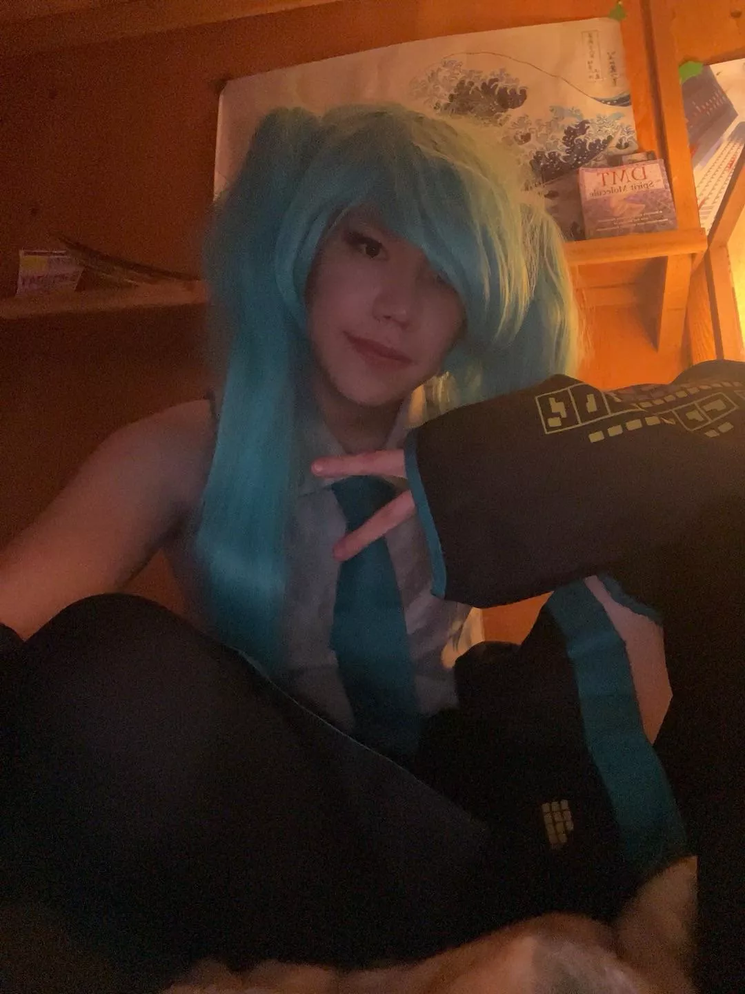 hatsune mikuuu! (again ;-;)