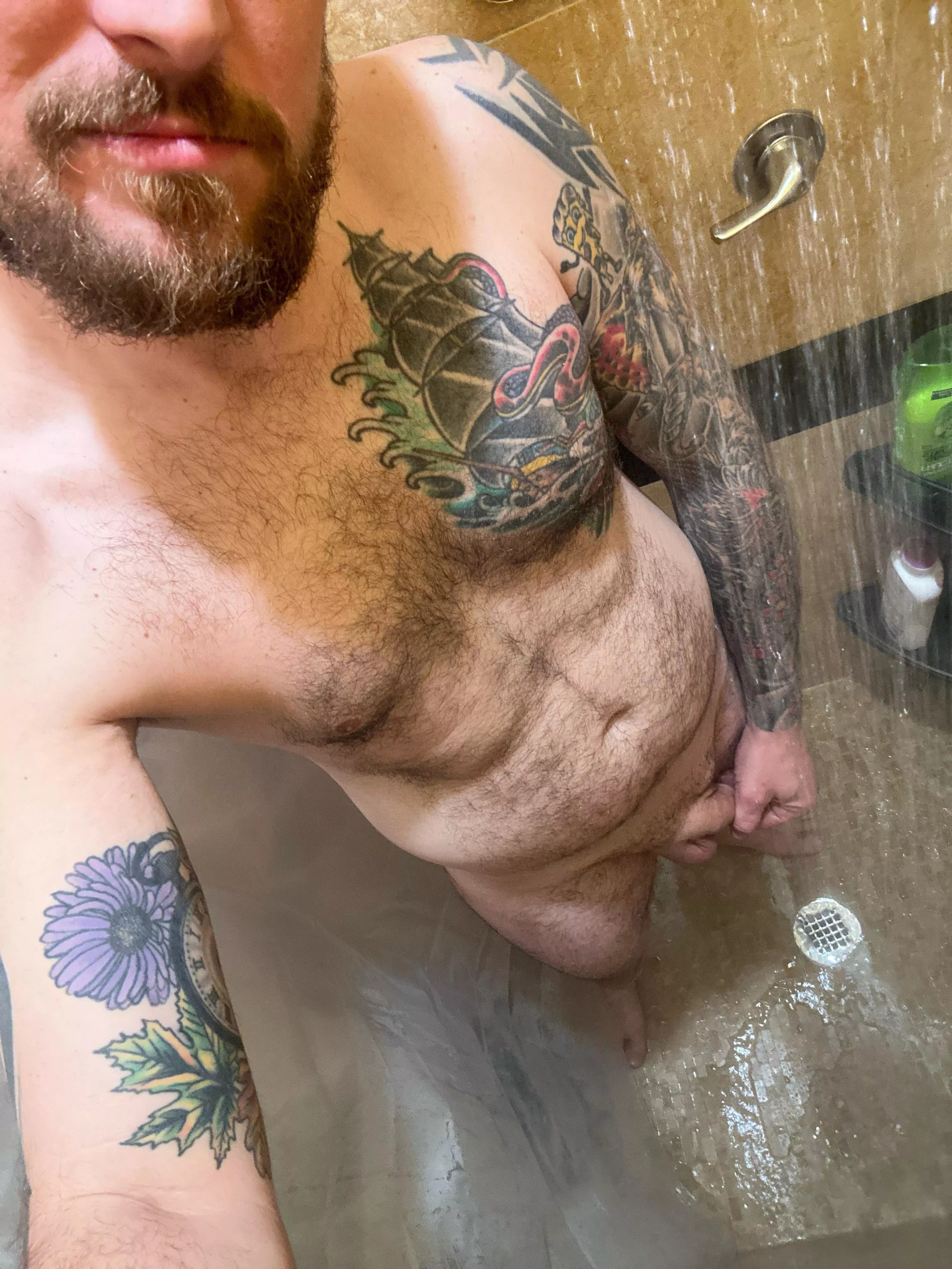 Horny, DMs open 