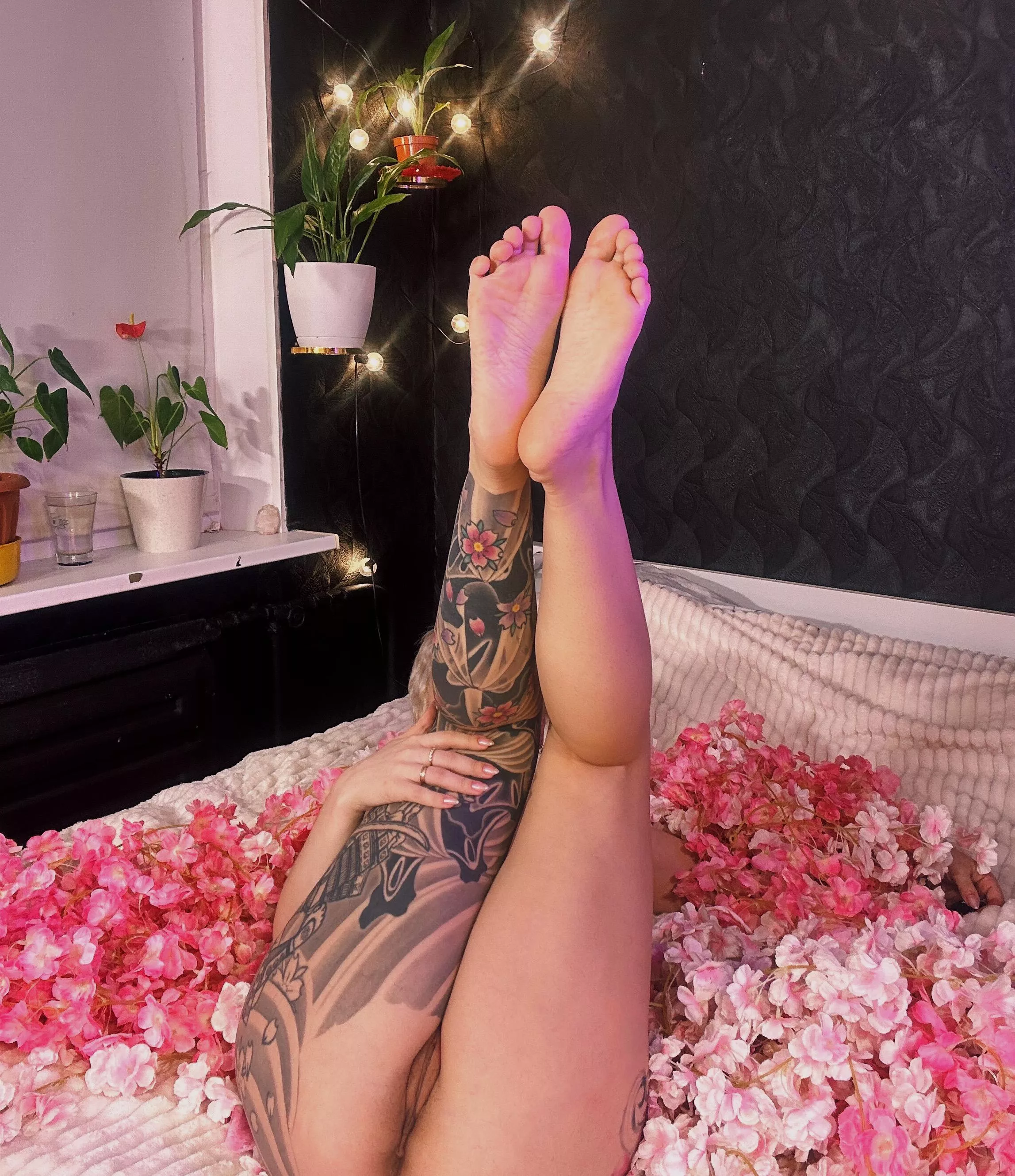 Kiss my ass (or fuck it 🤷🏻‍♀️)