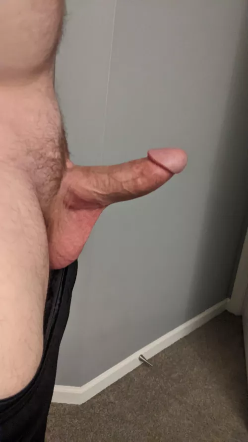My cock needs to be sucked
